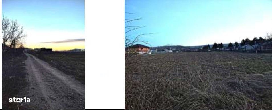 Teren intravilan Tomesti, cota parte 1/2, ID: R2992780