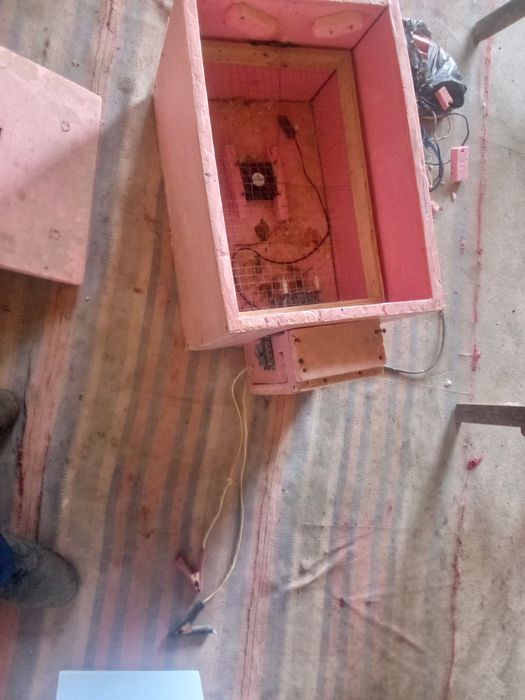 Инкубатир сотилади 500000