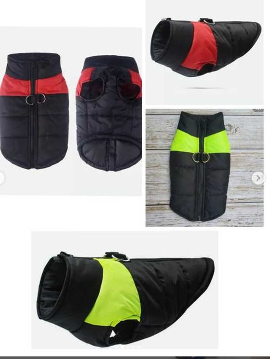 одежда для собак