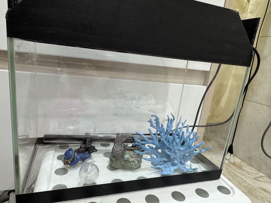 Продам аквариум с декором