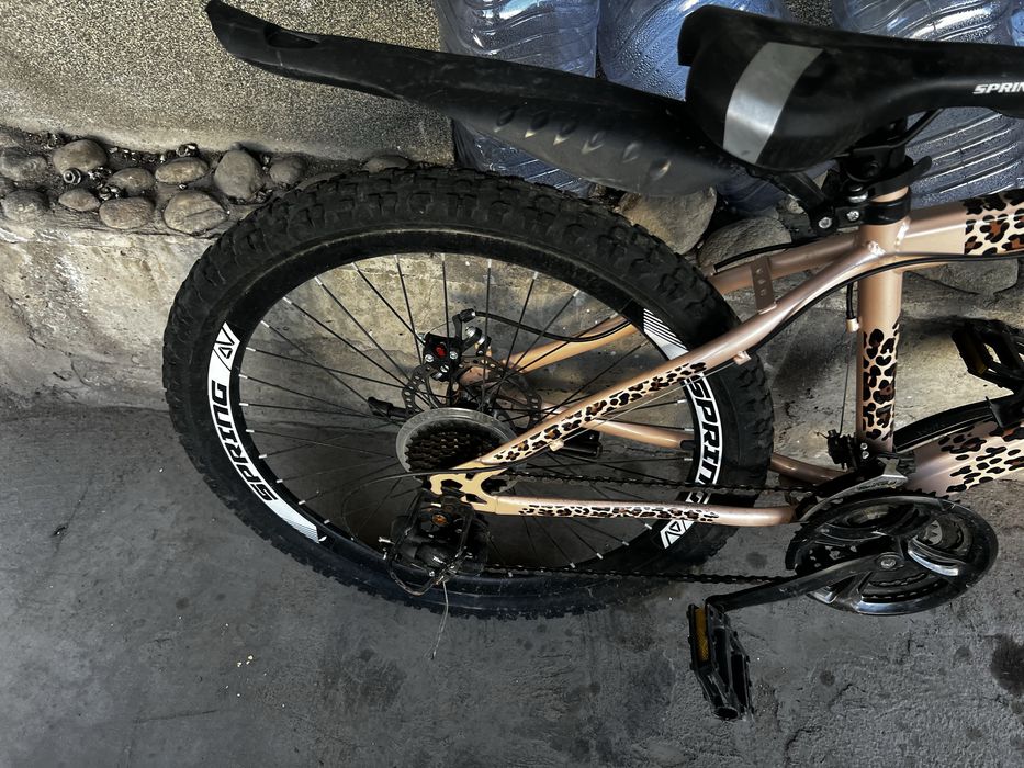 Велик тигринный за 35