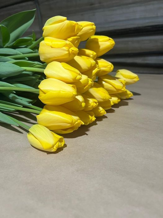 Тюльпаны из теплицы без посредников!