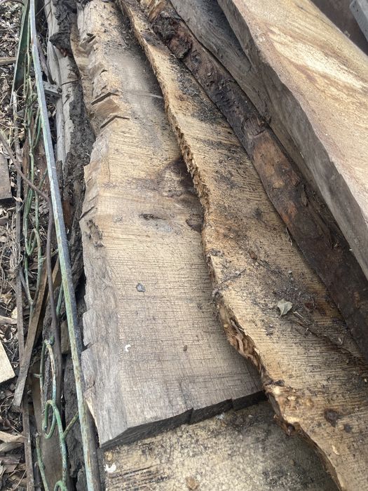 Распиленный  дуб