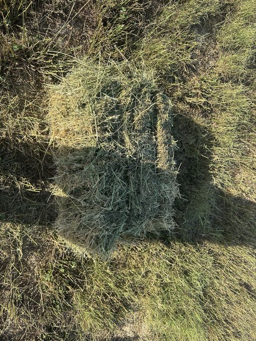 Beda press 40mingdan