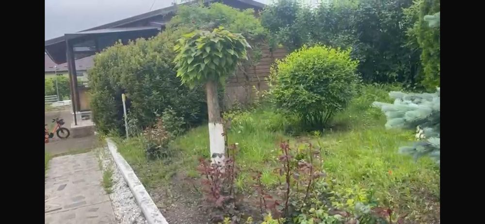 TEREN INTRAVILAN 3475mp + CASA 2003 - VASLUI - zona Moara Grecilor