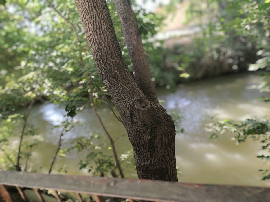 Уй сотилади канал буйида