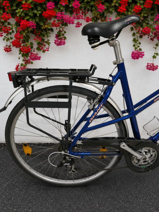 Bicicleta dama Giant lady vintage Alu