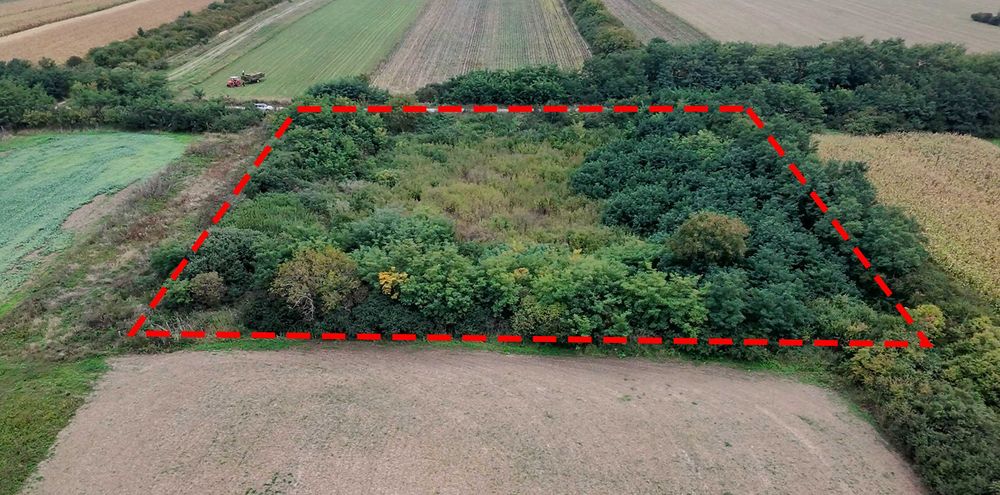 Intravilan 40 ari, Odoreu