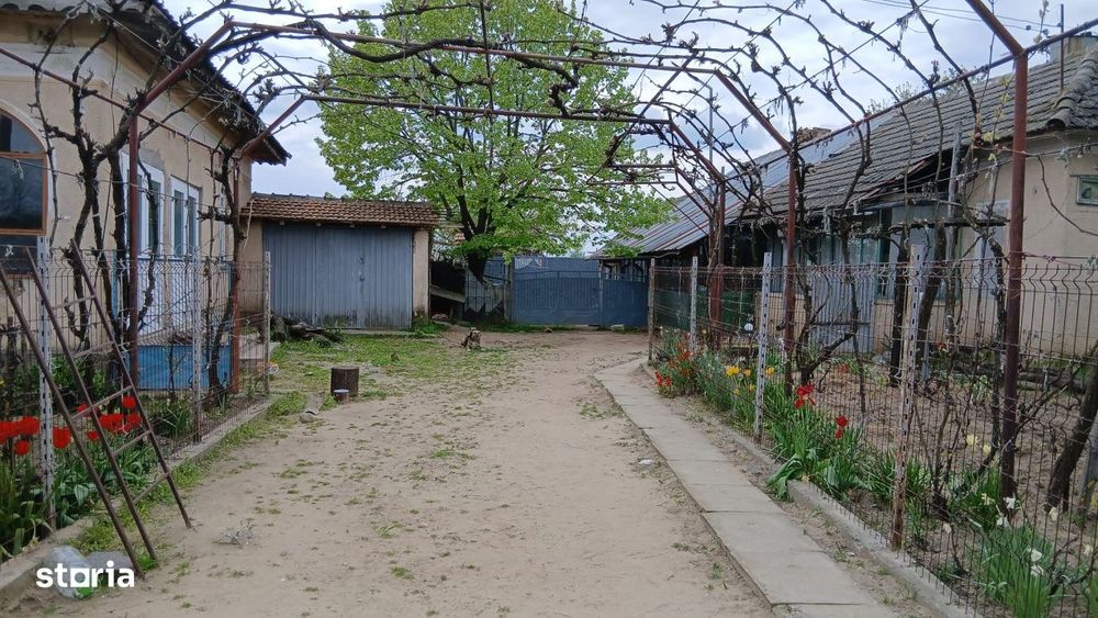 Casa localitatea Soreni Dolj (Comuna Celaru ) teren 8481 mp