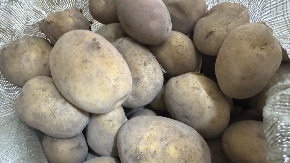 Картошка домашняя с Есенгельди