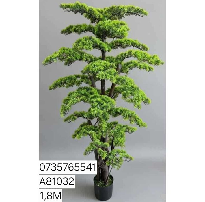 Palmier maslin copac exotic frunze cu aspect natural