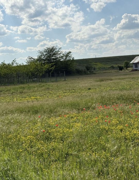 Teren de vânzare în Poroschia 3200 mp