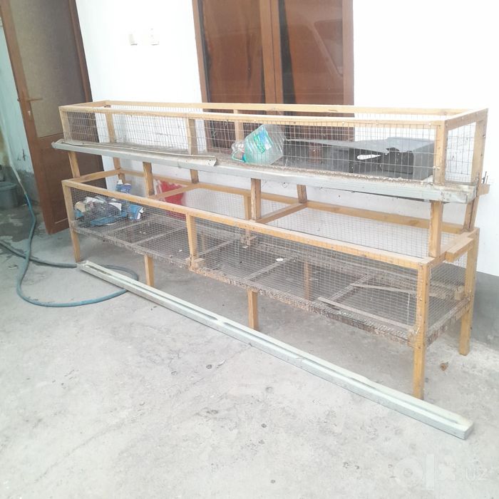 Juja va Bedana uchun katak