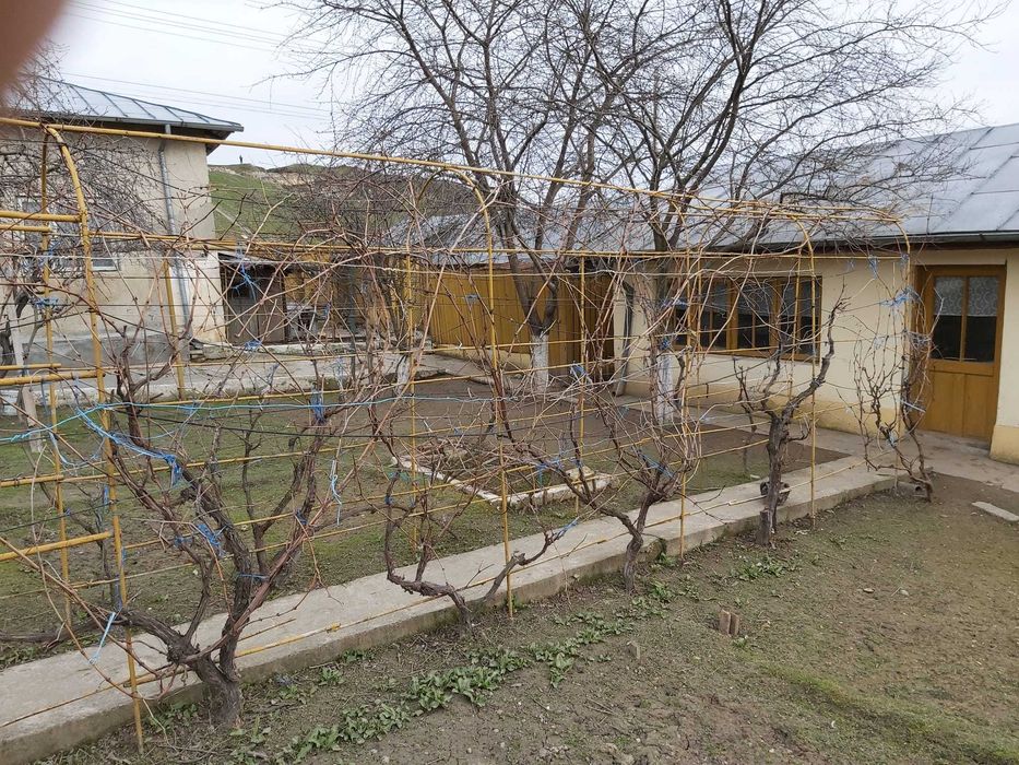 casa de vanzare harsova