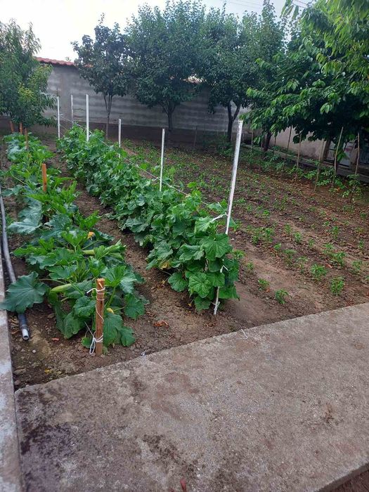 Продавам КЪЩА в с. Боянци, обл. Пловдив