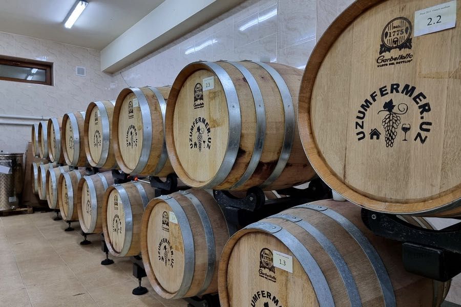 Экскурсия в Самарканд. Тур в горы гид-водитель Минивэне, кроссовер