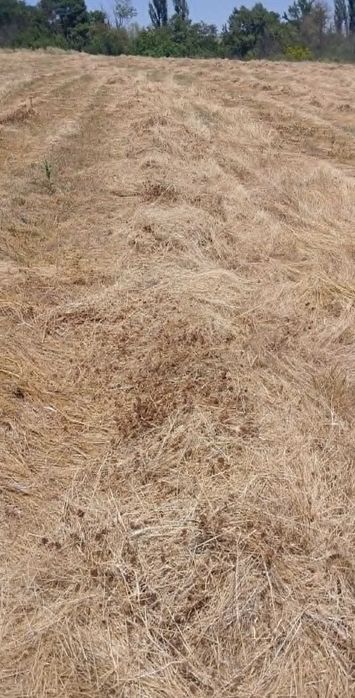 Продавам рулонни бали ливадно село. село Лозен община Любимец. Цена 30 евро