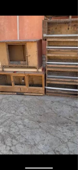 Тауық кепелер арзан бағада