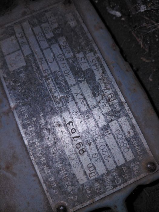 Электродвигатель (Польский)