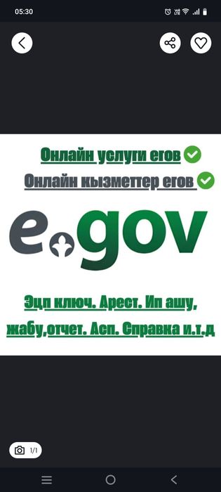 Компьютерные услуги