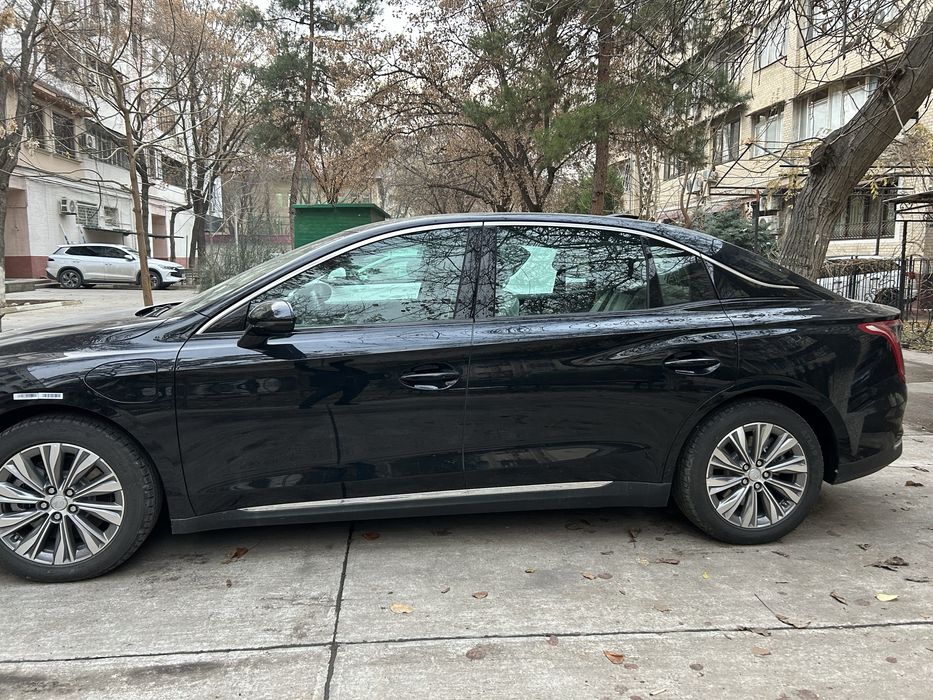 Hongqi E - QM 5  (500)