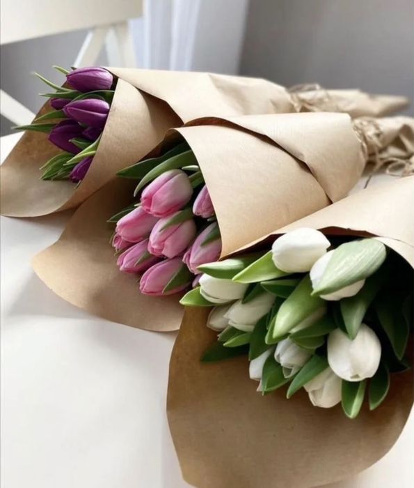 Тбюльпаны местные  Голландия