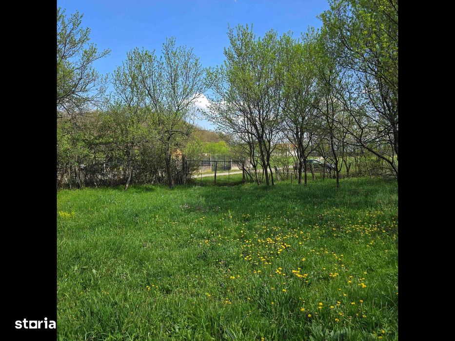 Teren intravilan cu nr.de casă.