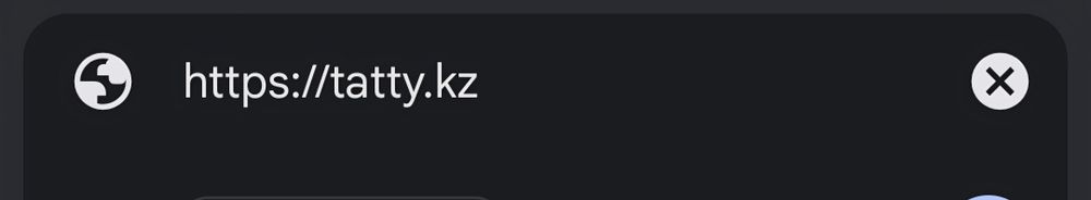 Продаю домен tatty.kz