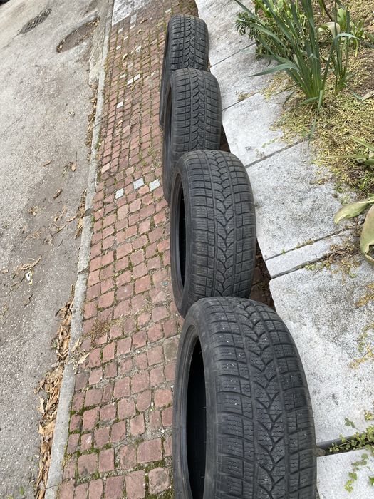 195 55 16 Зимни Tiger