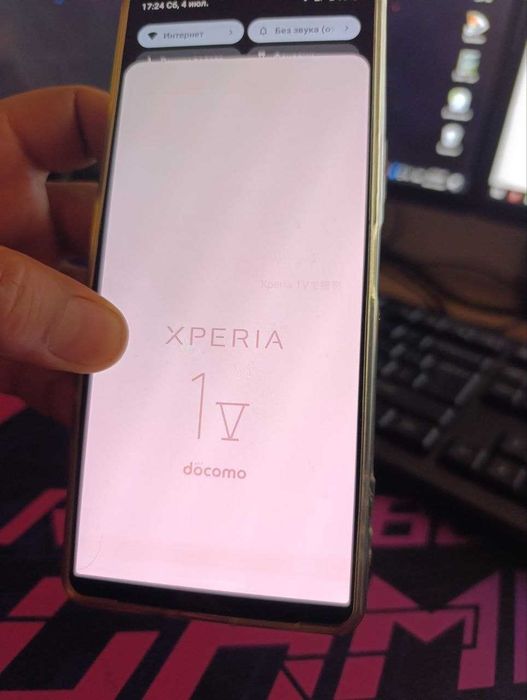 Sony Xperia 1 V  12/256