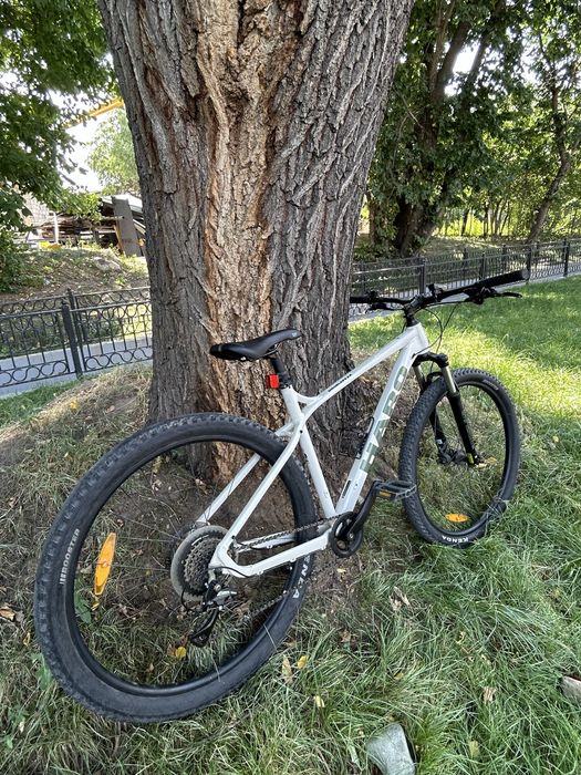 Haro double peak