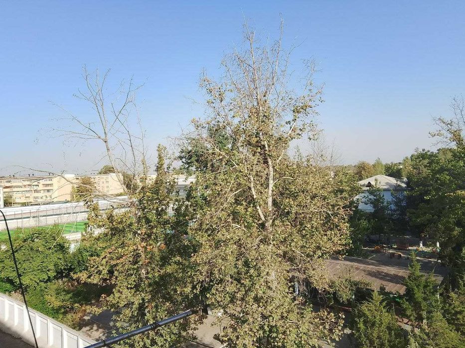 2х Комнатная квартира(Киргили)