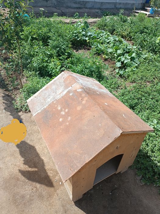 Ит кетек (собачия будка) сатылады