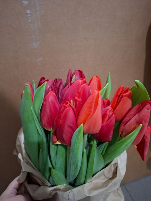 Тюлпаны курпные бутоны