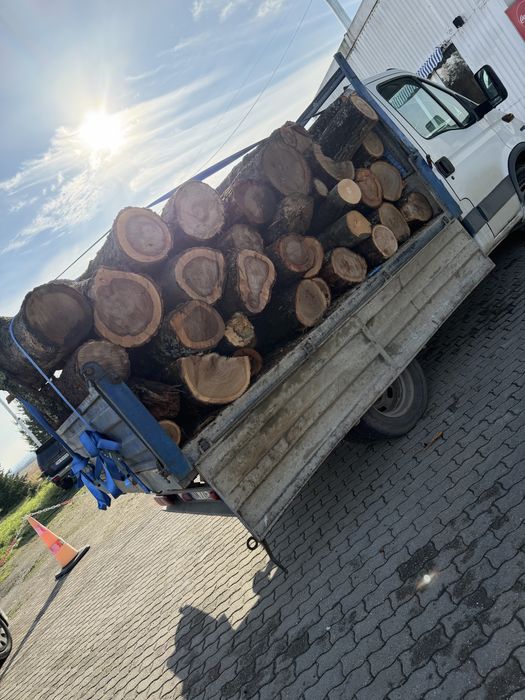 Lemn de foc,  esenta tare