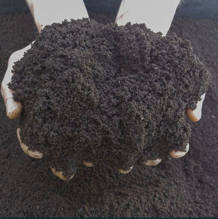 Биогомис 2500 капи