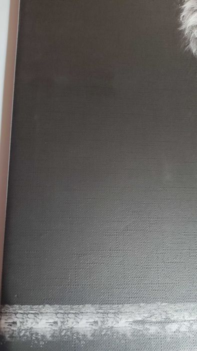 Картина черно-бял принт върху полиестерно платно в дървена подрамка