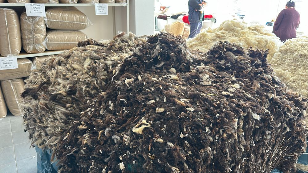 Lână Merinos 24–26 Microni – Albă și Mix Natural | Pentru Fire, Tricotat, Pilote și Produse Premium