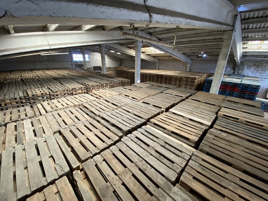 Paleti lemn euro epal 800x1200