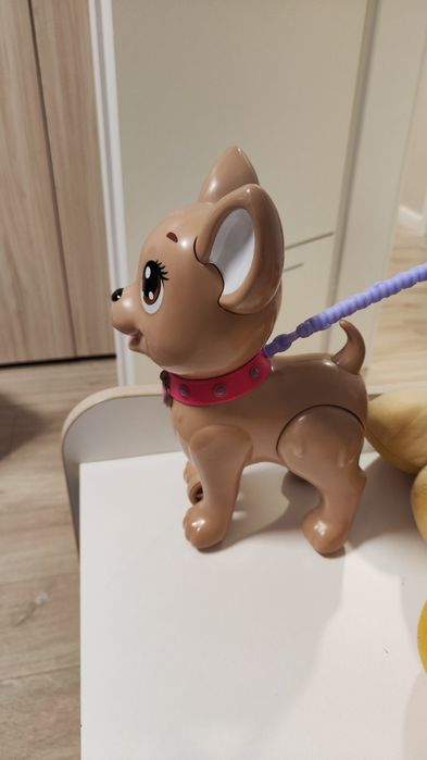 Куче Чи Чи / Chi Chi Love