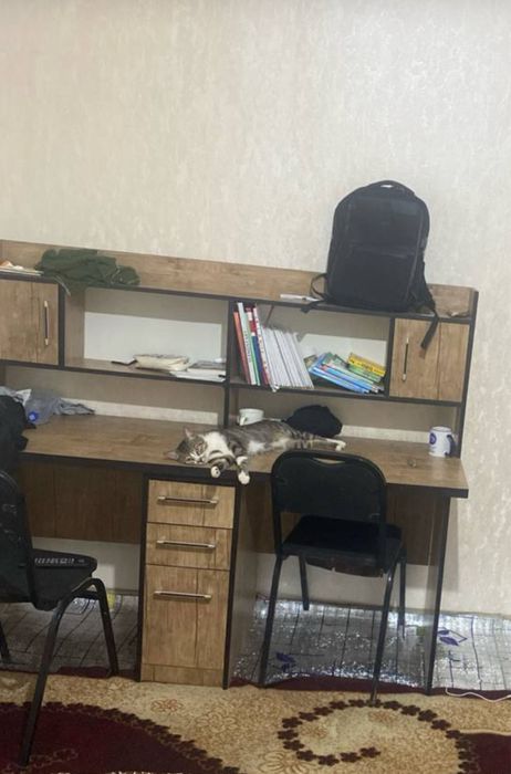 Dars stol stul 2 kishilik baquvvat