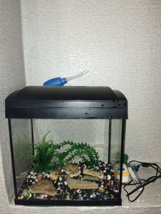 Аквариум с всичко към него