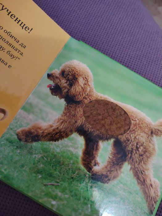 Комплект детски книжки за 20 лв.