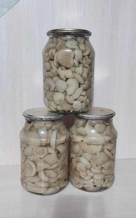 Белые грибы маринованные