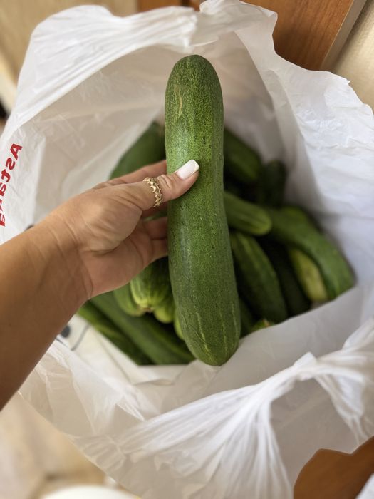 Дачная продукция