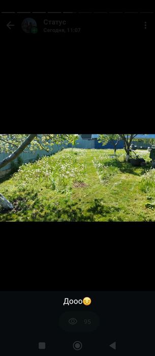 Покос травы,стрижка газона.