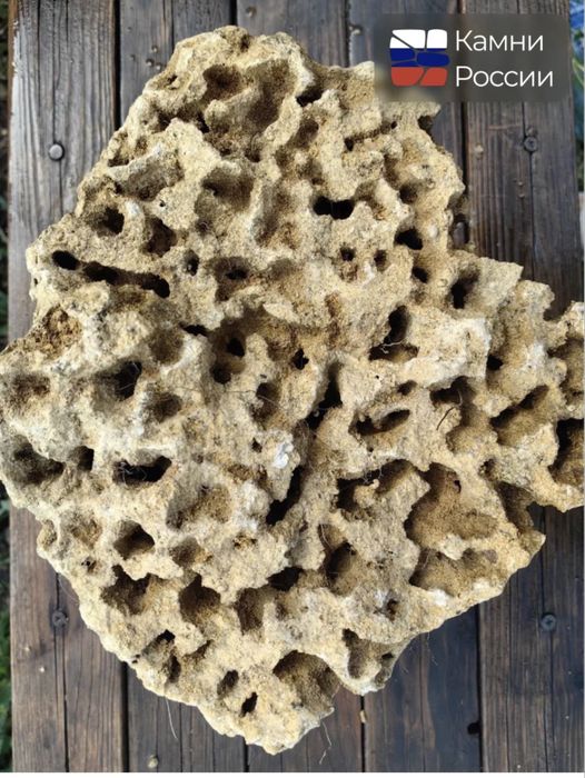 Продается Фронтоза. С аквариумом вместе. Полный комплект