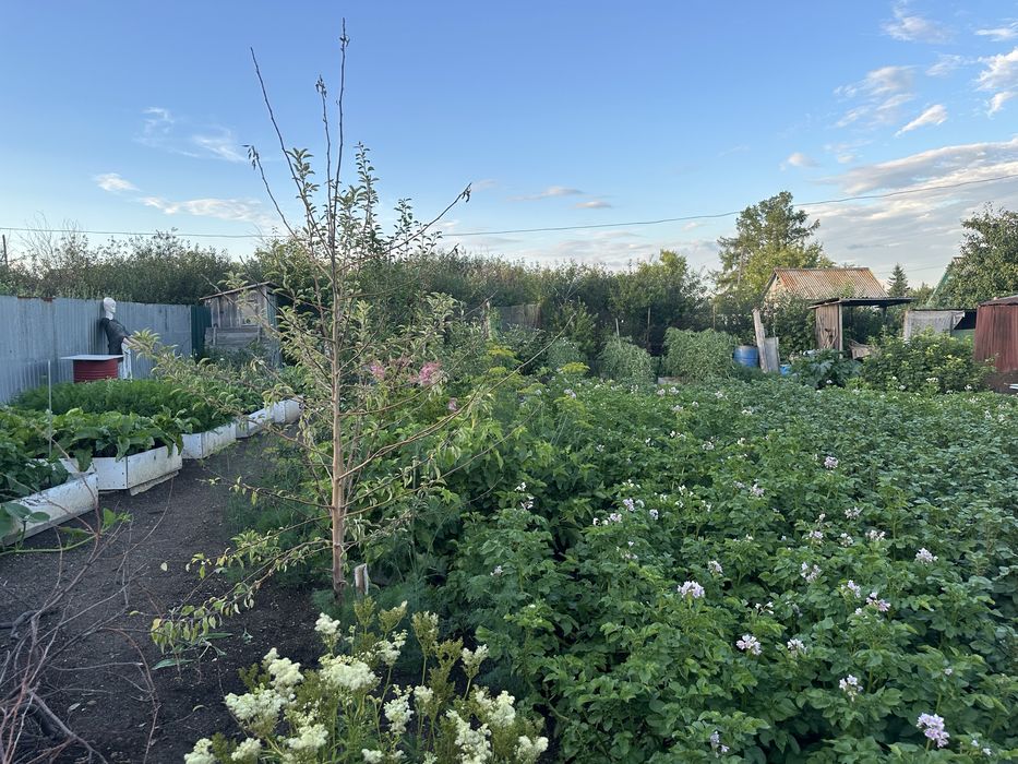 Продам дачу по зерендинской трассе