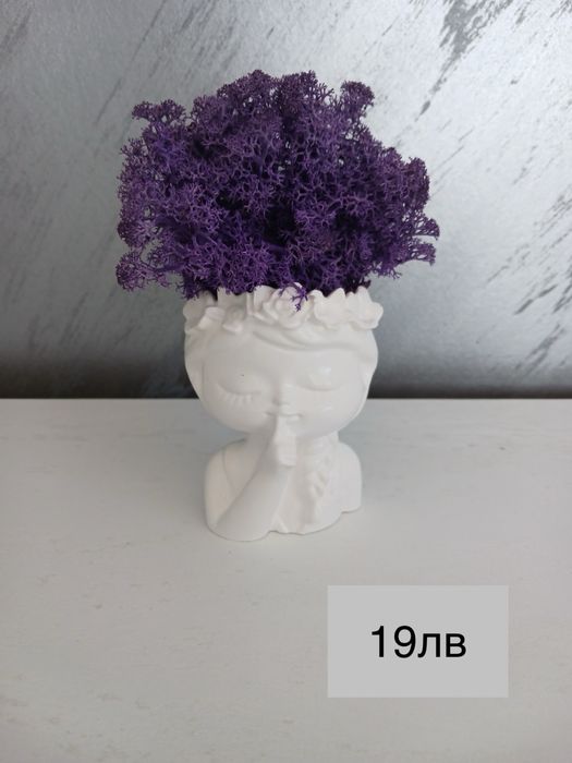 Кашпи със скандинавски мъх – тип „Лице“