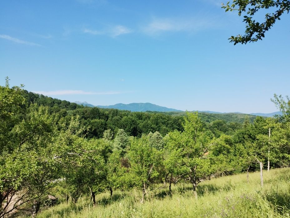 Панорамен Парцел в гр. Априлци в регулация и ПУП за курортен обект